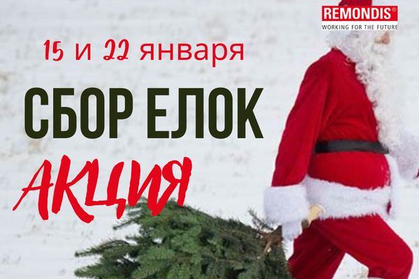 Акция по сбору Новогодних елей! Акция по сбору Новогодних елей!