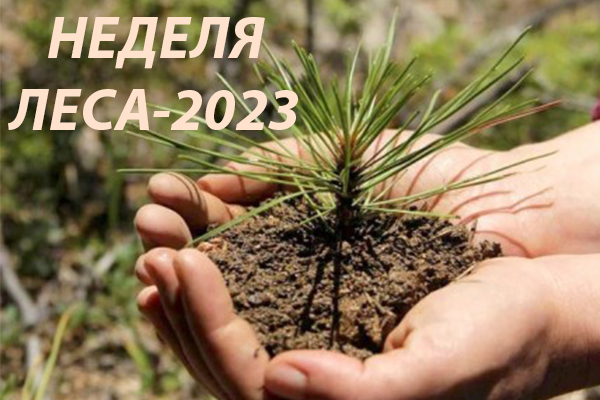 НЕДЕЛЯ ЛЕСА-2023 НЕДЕЛЯ ЛЕСА-2023