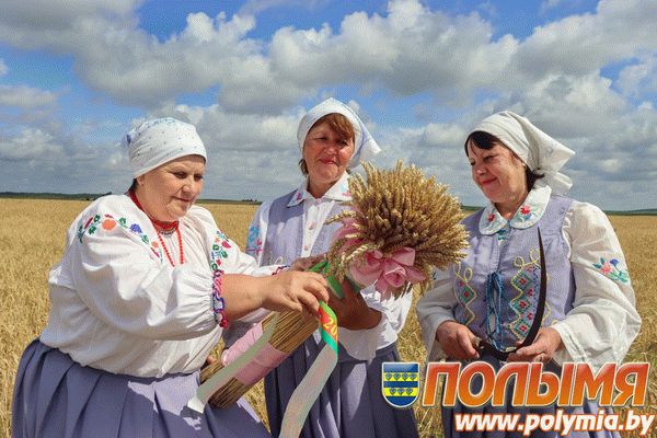В СПК «Свитязянка-2003» провели «Зажинки» В СПК «Свитязянка-2003» провели «Зажинки»