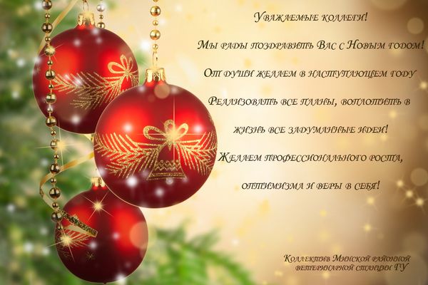 С Новым годом! С Новым годом!