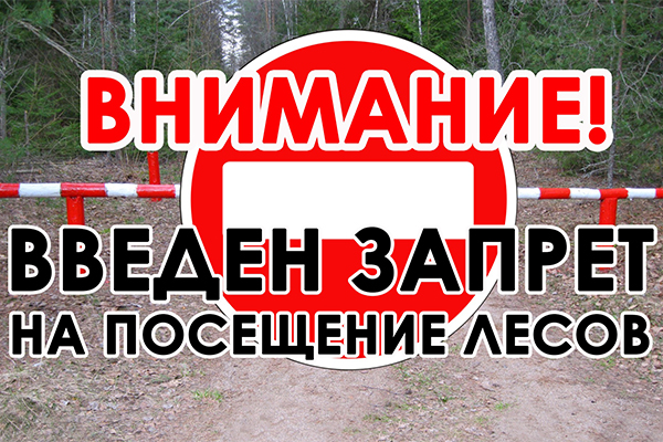 Лайфхак для журналистов: как правильно писать и рассказывать о запретах и ограничениях на посещение лесов? Лайфхак для журналистов: как правильно писать и рассказывать о запретах и ограничениях на посещение лесов?
