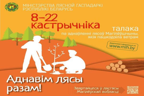 Обновим леса вместе! Обновим леса вместе!